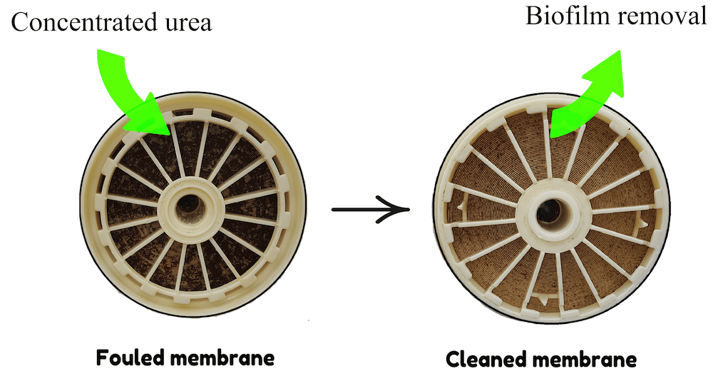 RO membranes after and before CIP