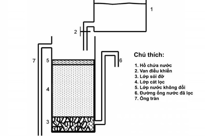 Lớp sỏi đỡ