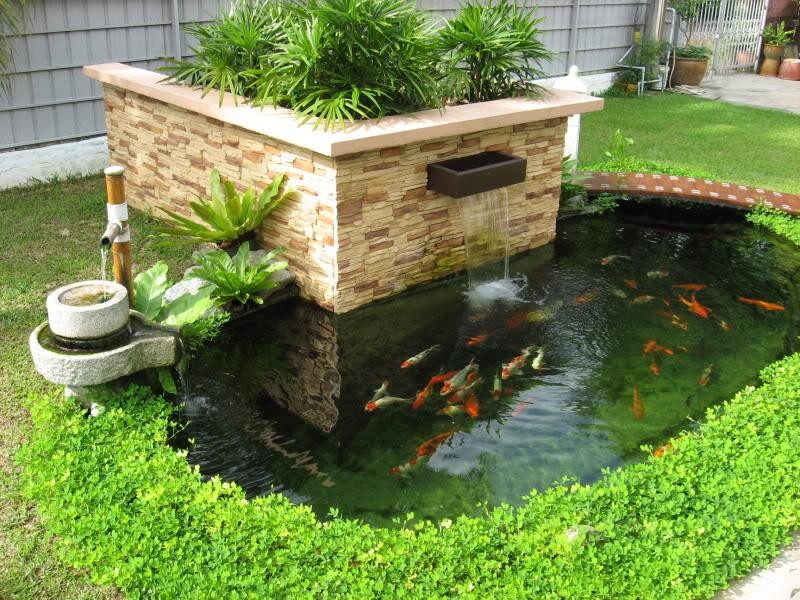 Hướng dẫn cách làm bộ lọc nước hồ cá đơn giản tại nhà 9 Cách làm bộ lọc nước hồ cá đơn giản