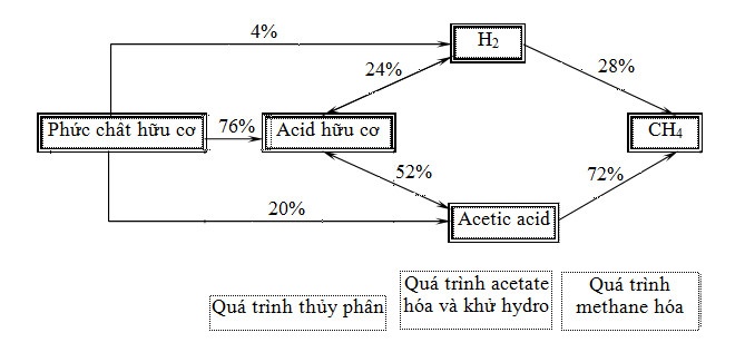 xử lý nước thải bằng vi sinh vật