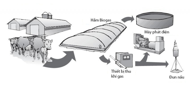 xử lý nước thải chăn nuôi