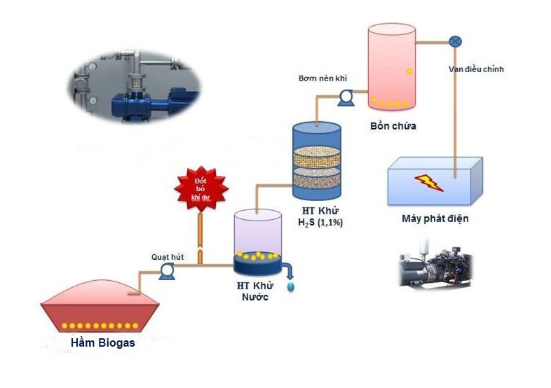 xử lý nước thải chăn nuôi