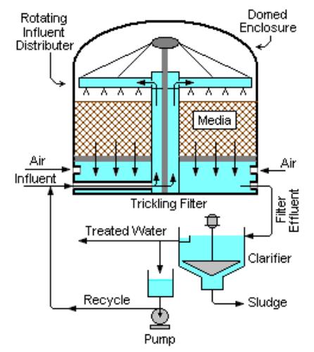 Hoạt động của bể lọc sinh học dựa trên sự phát triển của vi sinh vật trên bề mặt vật liệu lọc