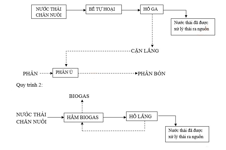 Quy trình công nghệ xử lý nước thải quy mô hộ gia đình