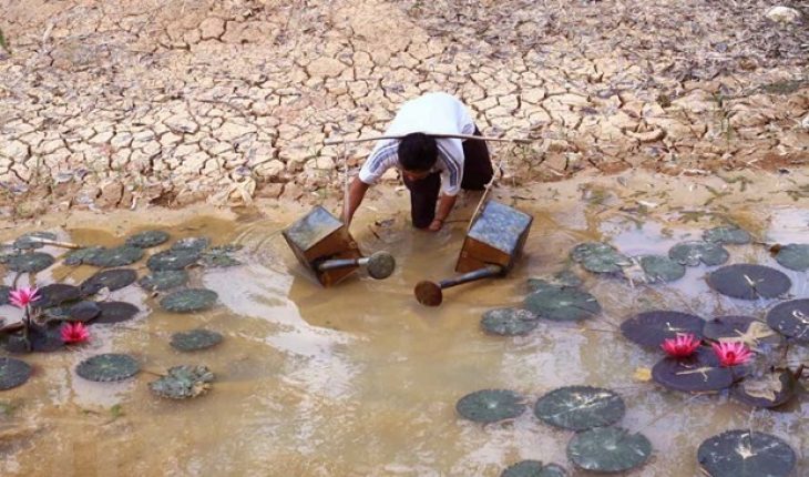 Nước nhiễm mặn do rất nhiều nguyên nhân gây ra làm ảnh hưởng