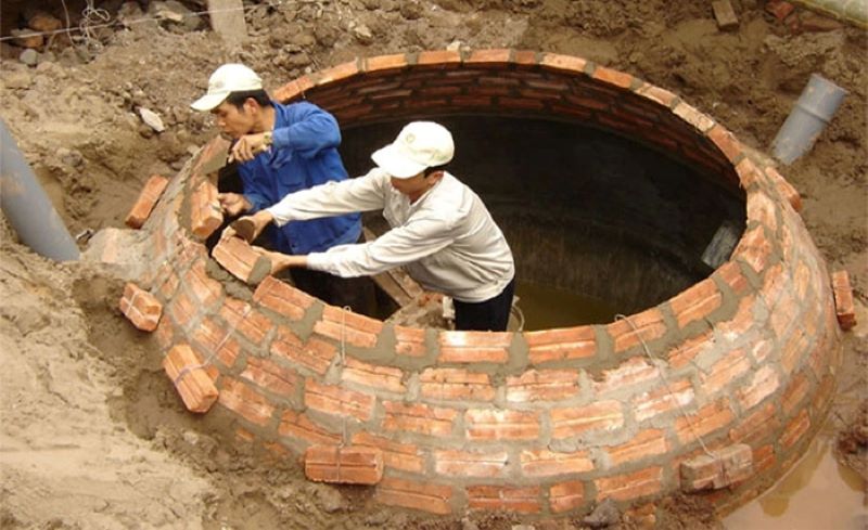 Phú dưỡng là gì? Nguyên nhân, hậu quả và cách xử lý chi tiết 7 phu-duong-la-gi-3