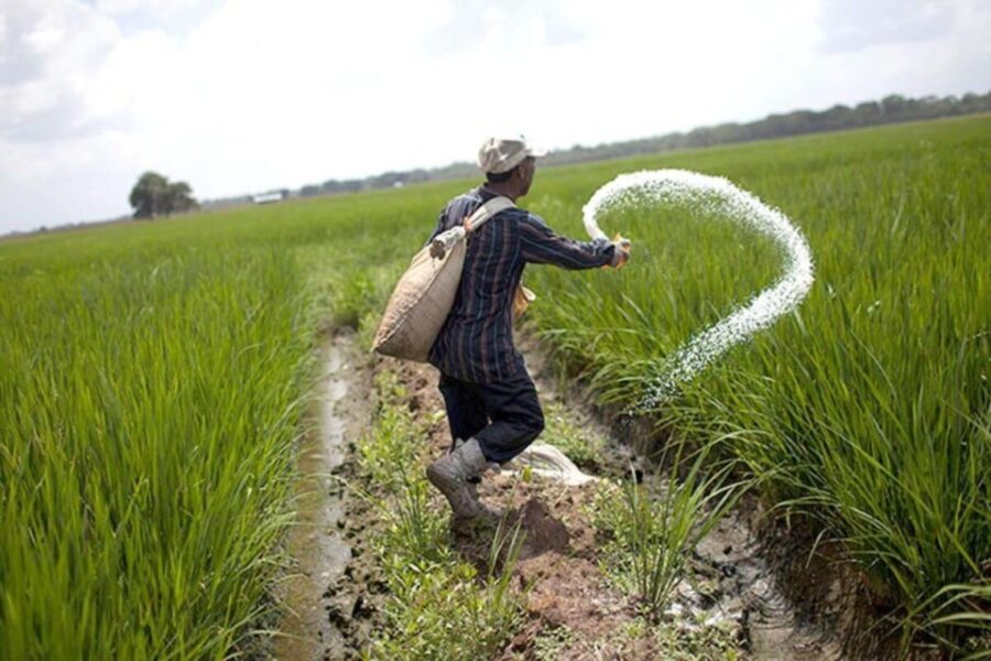Phú dưỡng là gì? Nguyên nhân, hậu quả và cách xử lý chi tiết 2 phu-duong-la-gi