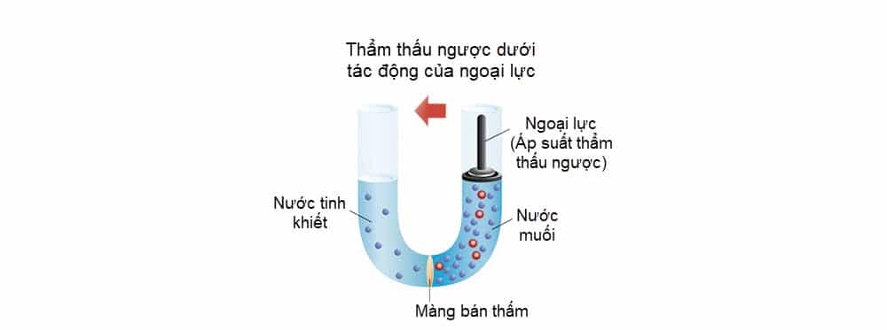 Sơ đồ 2 mô tả quá trình dưới tác dụng của ngoại lực