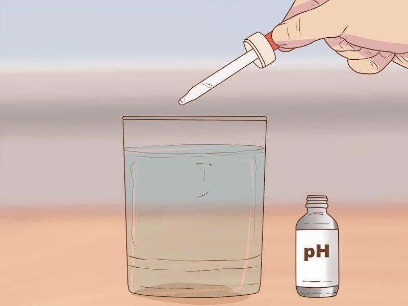 Cách thử độ pH của nước chính xác, đơn giản tại nhà
