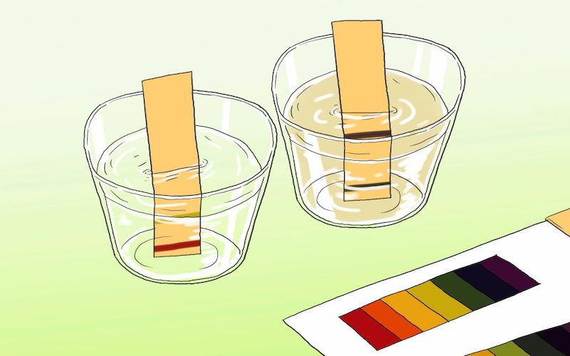 Sử dụng giấy quỳ để thử độ pH của nước