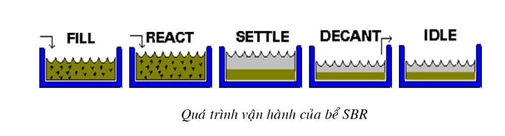 Pha lắng giúp tách biệt nước trong và bùn, chuẩn bị cho giai đoạn xả nước.