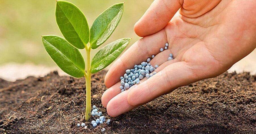 Mgo là gì? Bật mí các ứng dụng MgO trong đời sống 9 mgo-la-gi-9