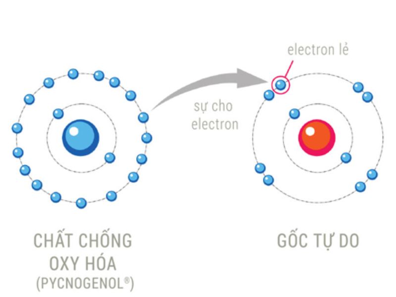 Nước từ trường giúp bổ sung electron tự do