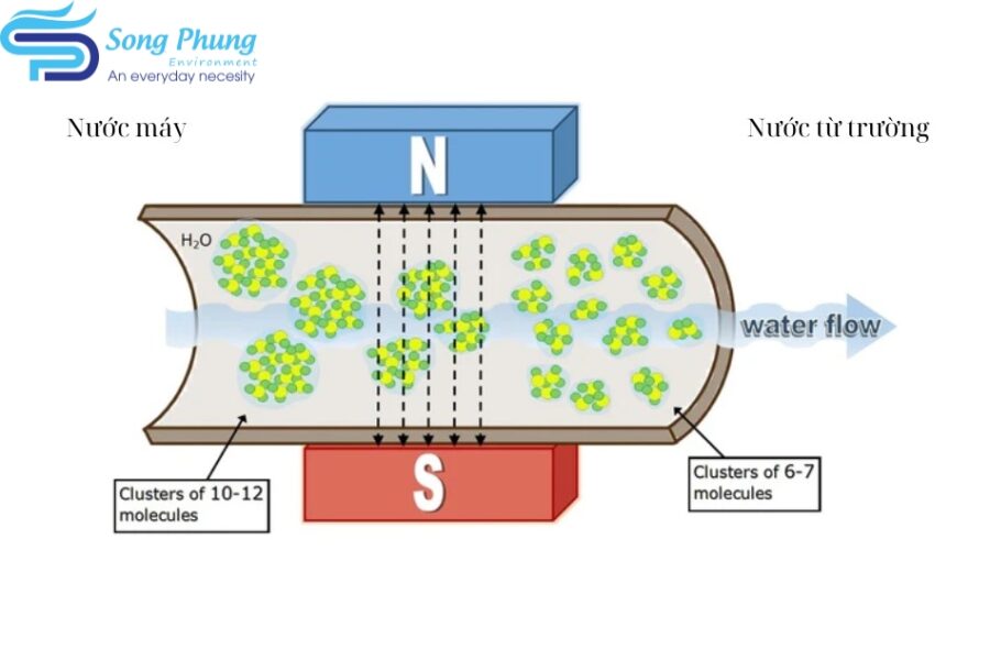 nước từ trường