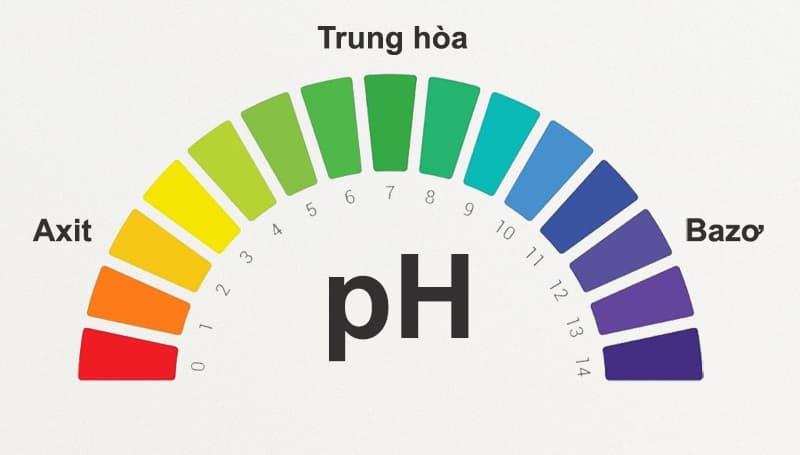 pH đại diện cho độ axit hoặc độ kiềm của dung dịch