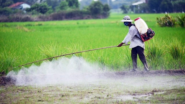 Phun thuốc trừ sâu gần khu vực nước sinh hoạt sẽ gây hại nghiêm trọng cho mạch nước ngầm.