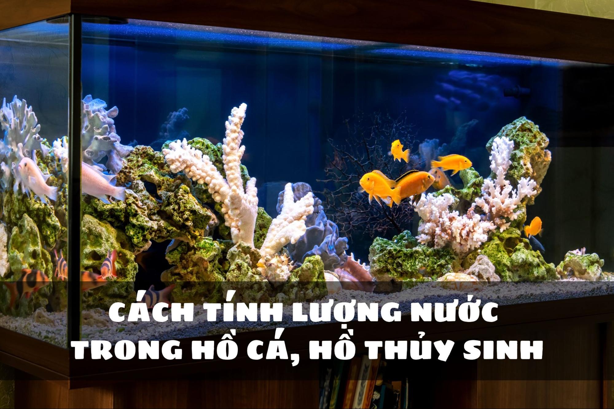 cach-tinh-luong-nuoc-trong-ho-ca-2