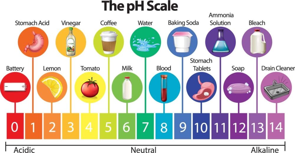 Giai đoạn 1: Điều chỉnh pH