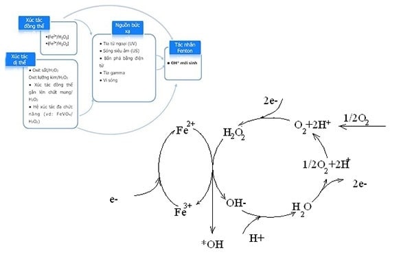 Yếu tố để bạn thực hiện quá trình phản ứng Fenton