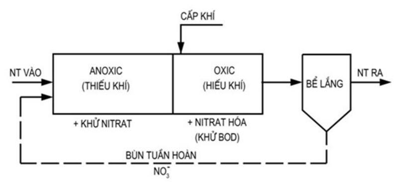 so-sanh-cong-nghe-aao-va-ao-2