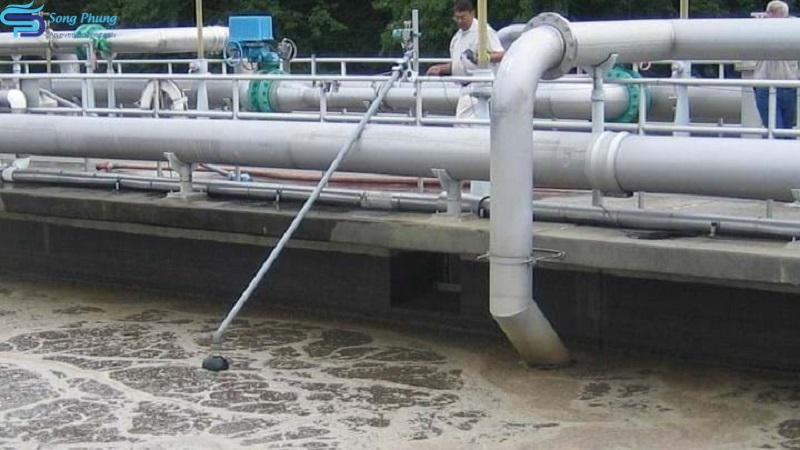 Nước thải nhà trường chưa qua xử lý gây ảnh hưởng đến hệ vi sinh sống dưới nước