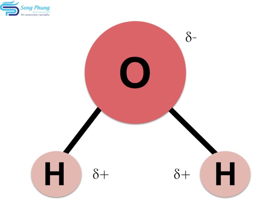 Phân tử nước là gì