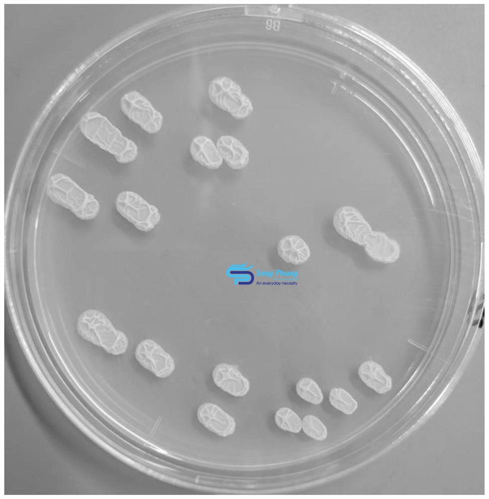 Bacillus amyloliquefaciens
