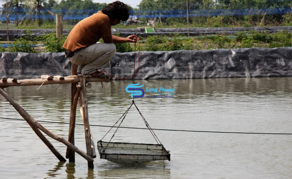 Phòng tránh vi khuẩn dạng sợi