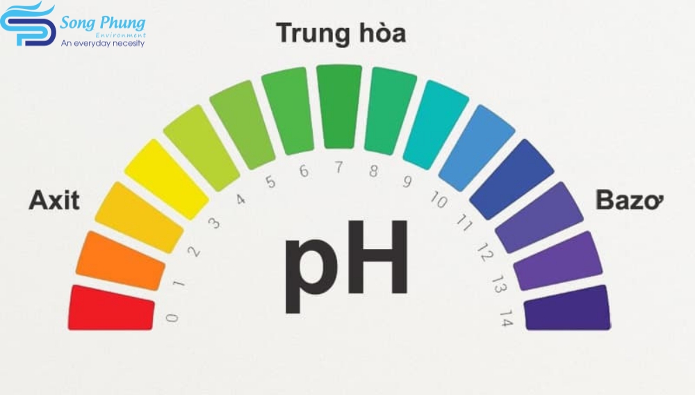 Vi khuẩn Nitrosomonas