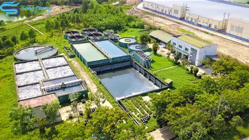 Vi khuẩn Nitrosomonas