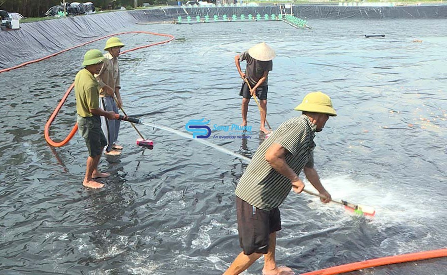 Làm sạch bùn đáy ao