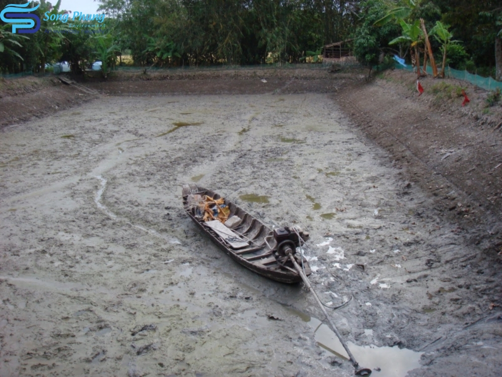 Vi khuẩn Vibrio Parahaemolyticus