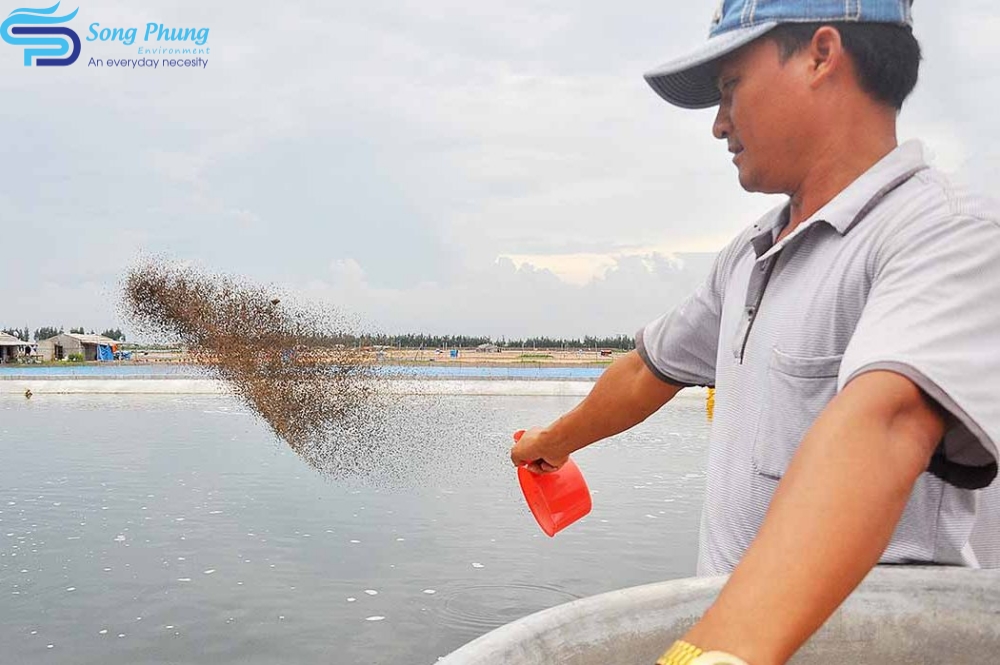 Vi khuẩn Vibrio Parahaemolyticus