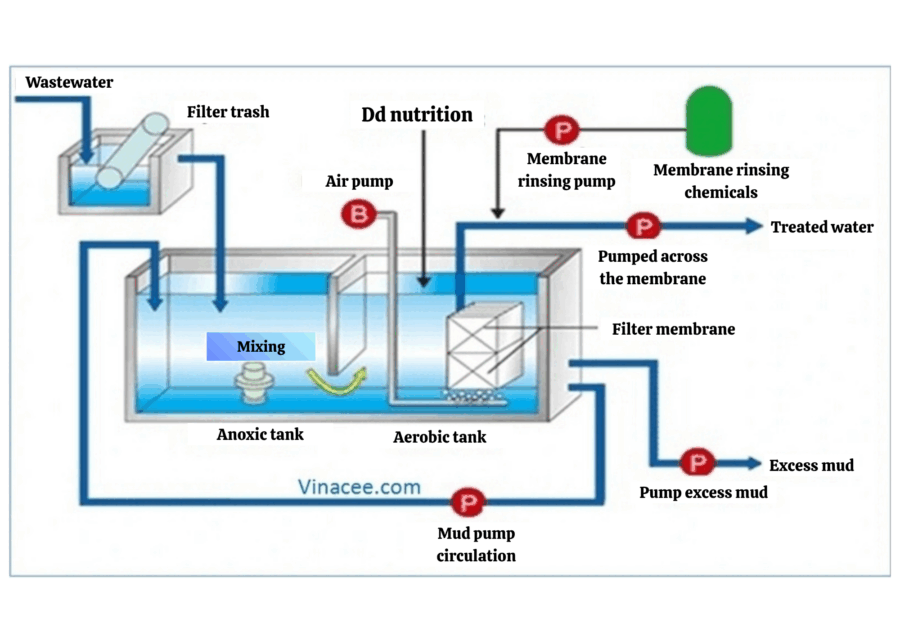 Circulation 2